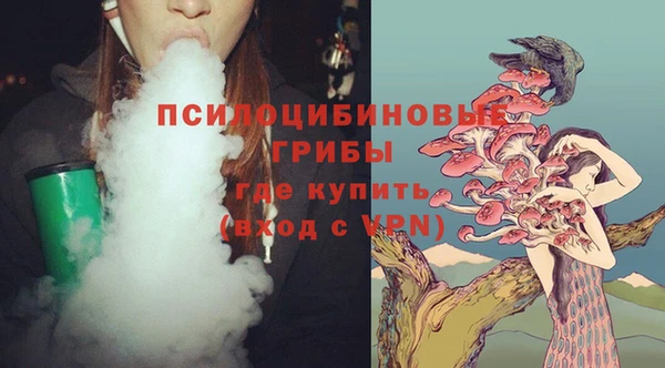 мяу мяу мука Абаза